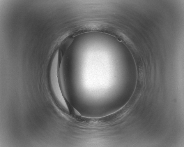 X0000054330493200508111923.png