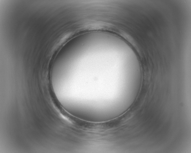 X0000054330485200508111923.png