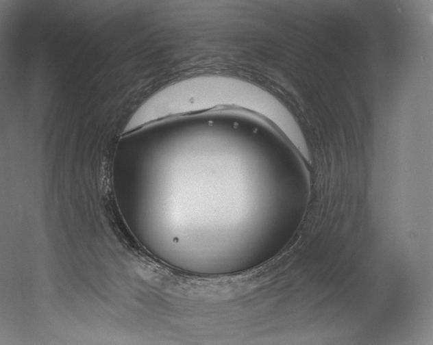 X0000055210029200508301333.png