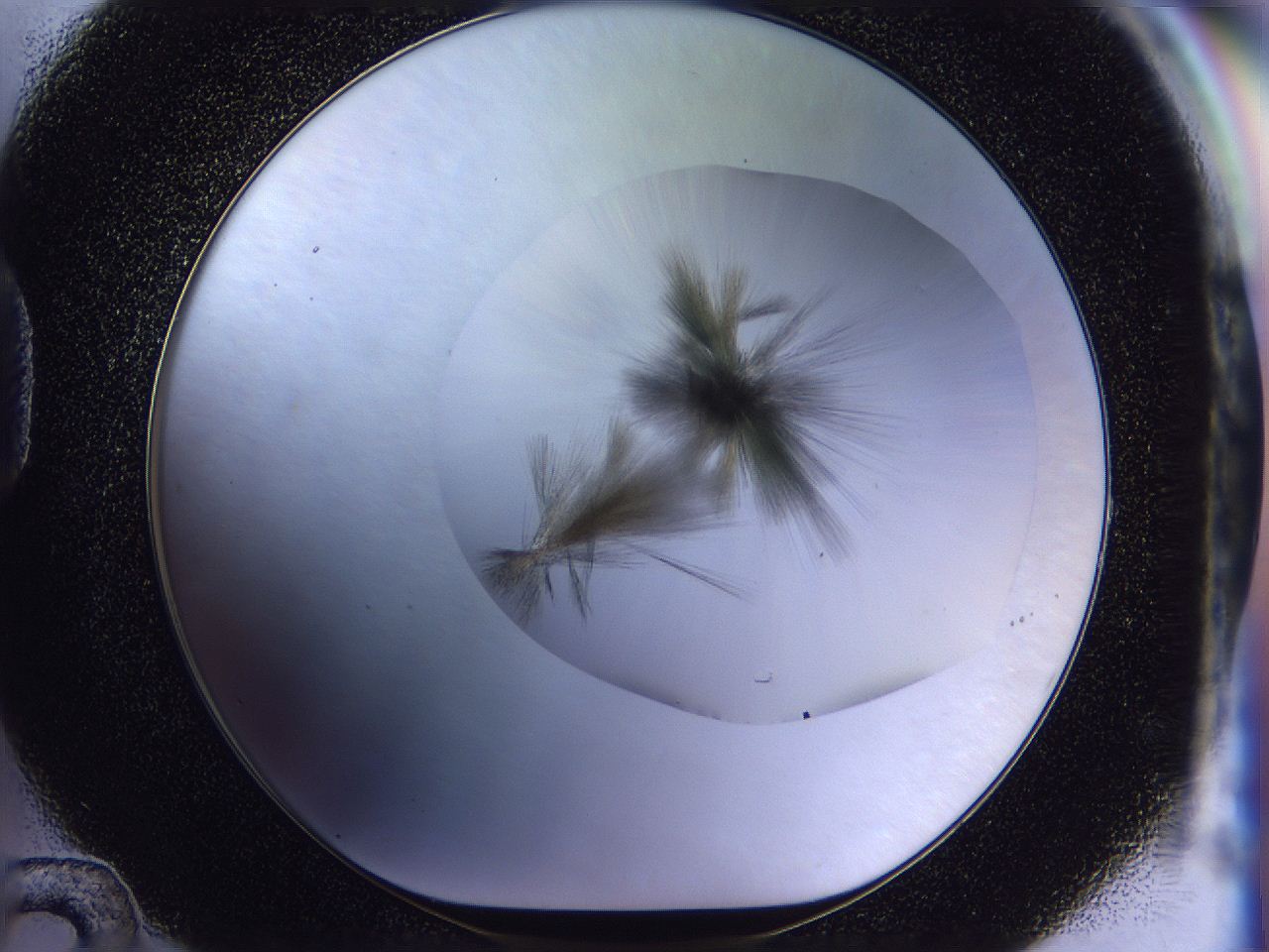 056d_D12_ImagerDefaults_7.jpg