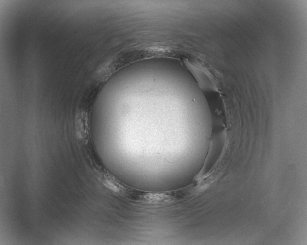 X0000055060528200508161649.png