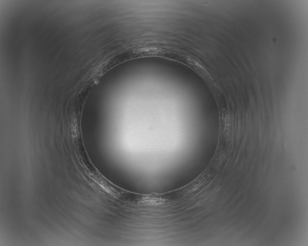 X0000055210617200508301323.png