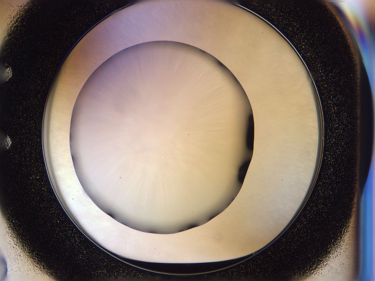 056d_E2_ImagerDefaults_0.jpg