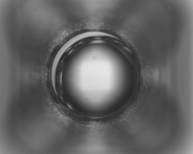 X0000040730682200410201652.png