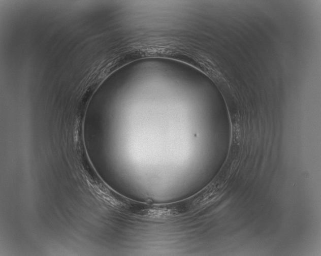X0000055210458200508301326.png
