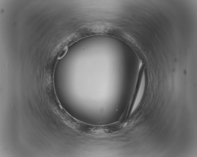 X0000054650407200508091647.png