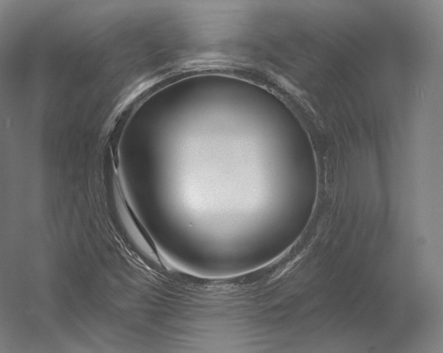 X0000055211453200508301309.png