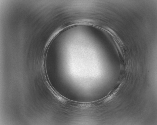 X0000055061196200508161637.png