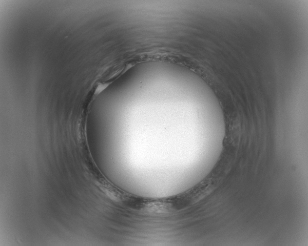 X0000054330708200508111919.png