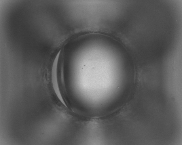 X0000054930068200508291642.png