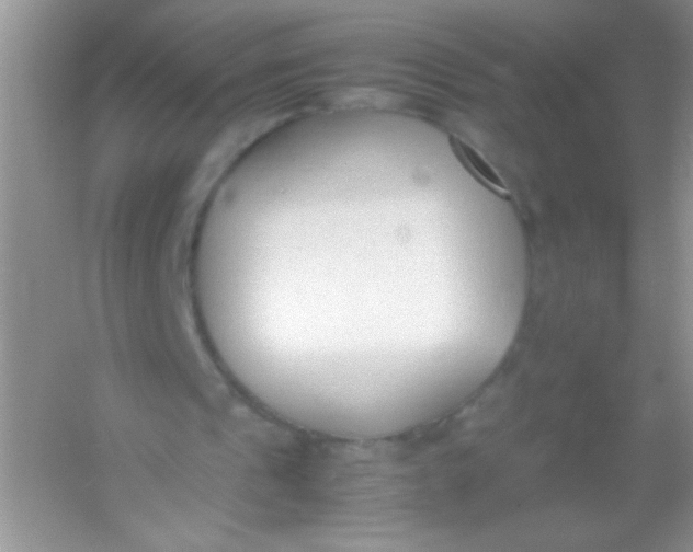 X0000054330241200508111926.png