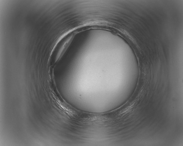 X0000055250830200509071613.png