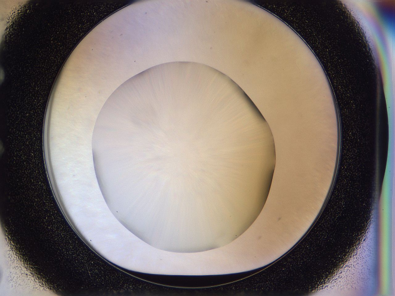 056d_E7_ImagerDefaults_0.jpg
