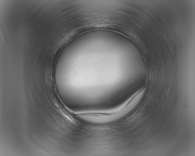 X0000055250397200509071621.png