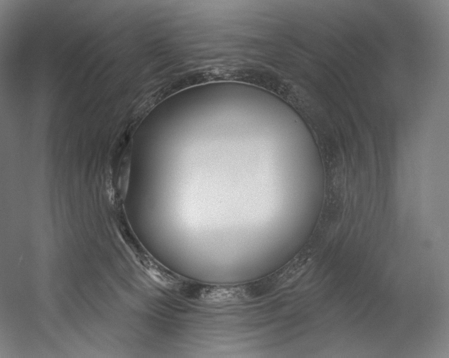 X0000055210129200508301332.png