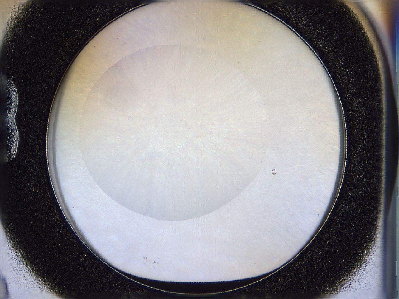 056d_B3_ImagerDefaults_0.jpg