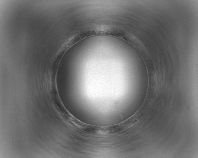 X0000054330496200508111923.png