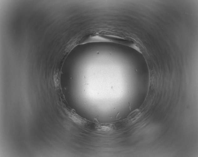 X0000055060285200508161654.png