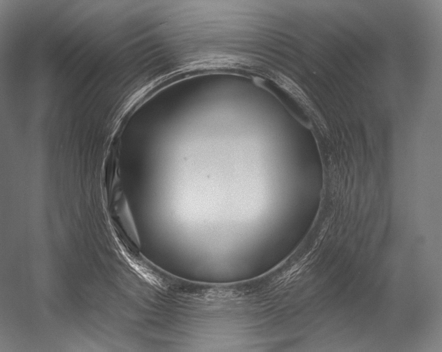 X0000055210842200508301320.png