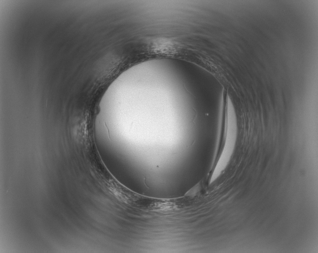 X0000055060424200508161650.png