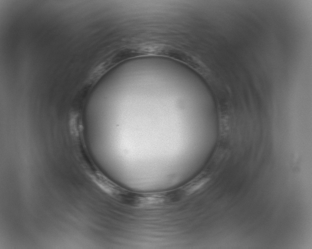 X0000055210286200508301330.png