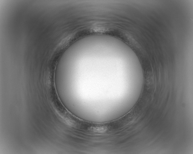 X0000054330639200508111920.png