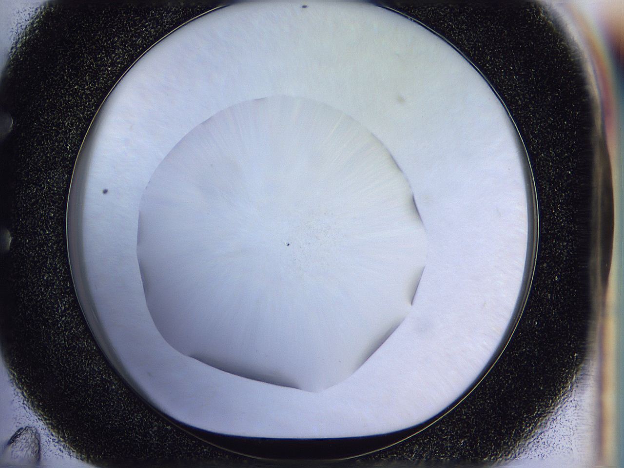 056d_E11_ImagerDefaults_0.jpg