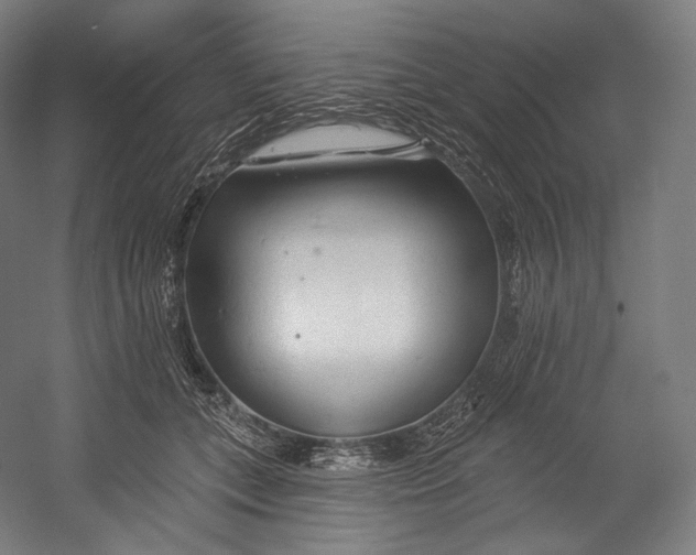 X0000055210559200508301325.png