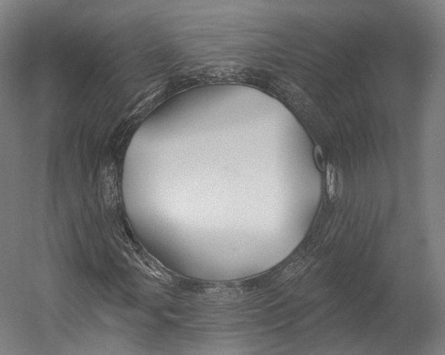 X0000055211107200508301314.png