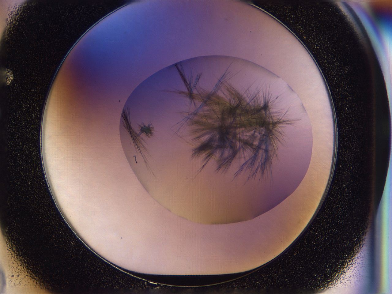 056d_F2_ImagerDefaults_7.jpg
