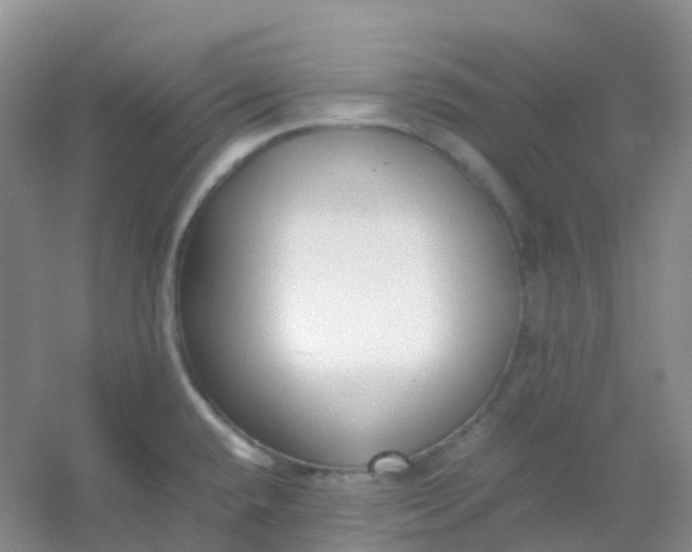 X0000054331432200508111907.png