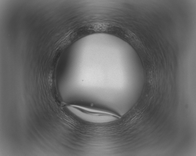 X0000055250697200509071616.png