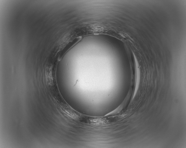 X0000055060516200508161649.png
