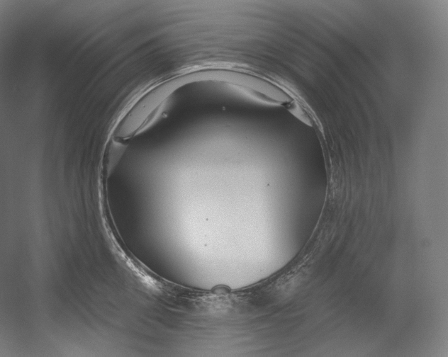 X0000055210906200508301318.png