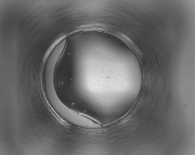 X0000055211196200508301313.png