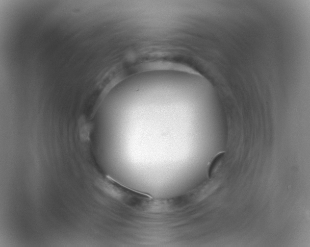 X0000054330384200508111925.png