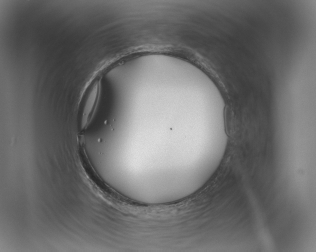 X0000055210011200508301334.png