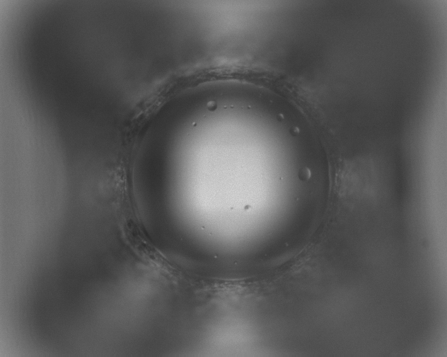X0000054931349200508291621.png