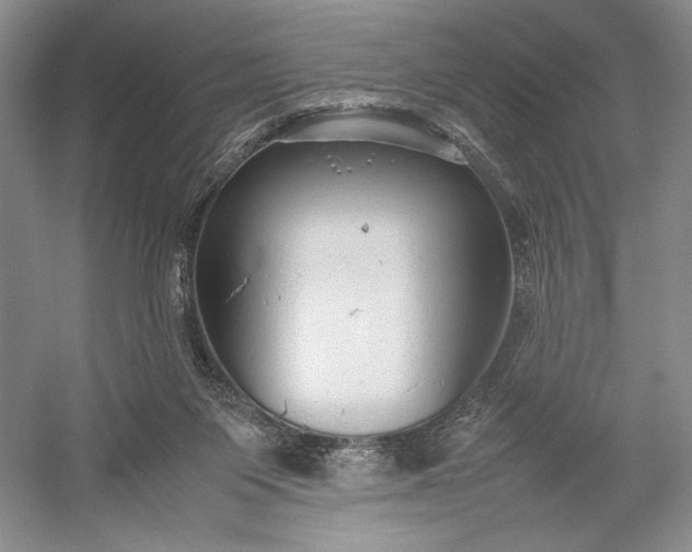 X0000055060119200508161656.png