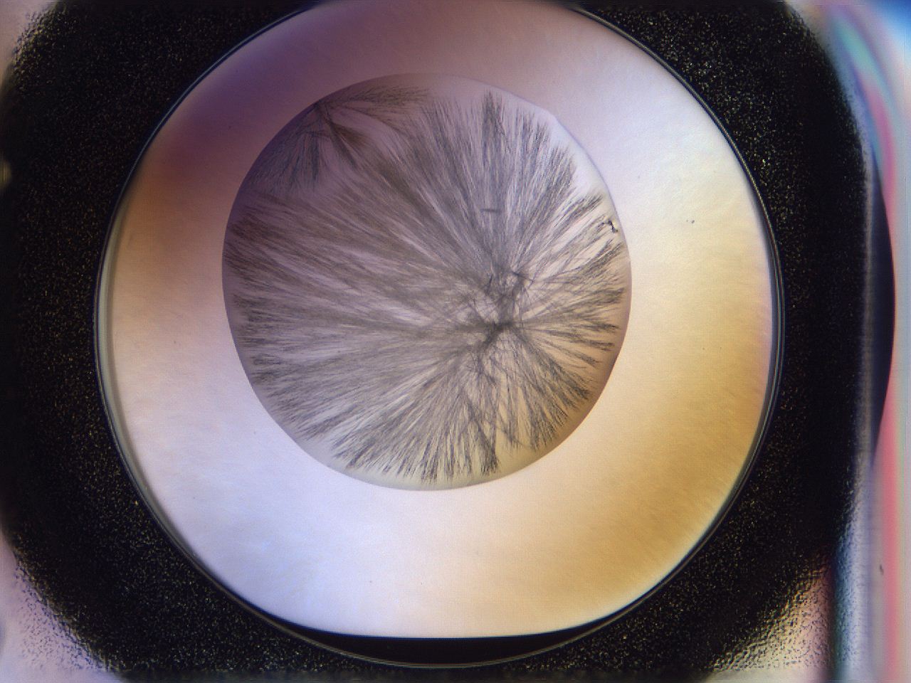 056d_F7_ImagerDefaults_7.jpg