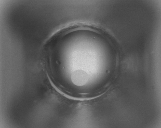 X0000054111496200508022045.png