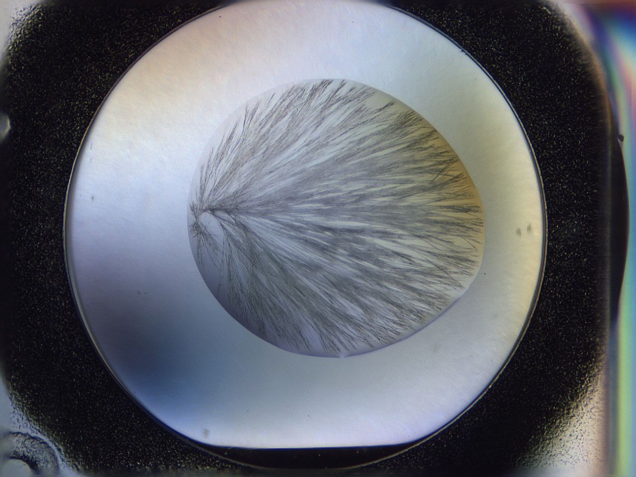 056d_F10_ImagerDefaults_7.jpg