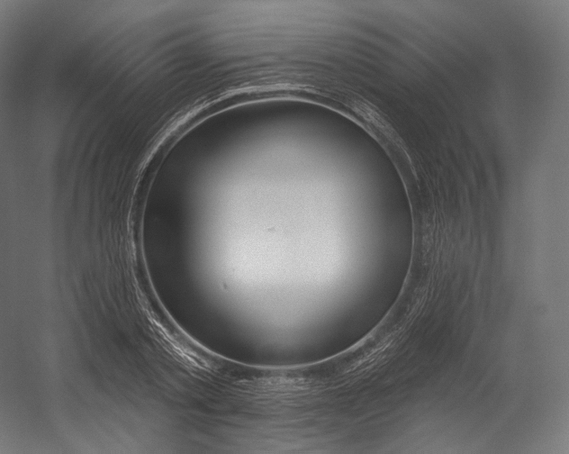 X0000055210789200508301320.png