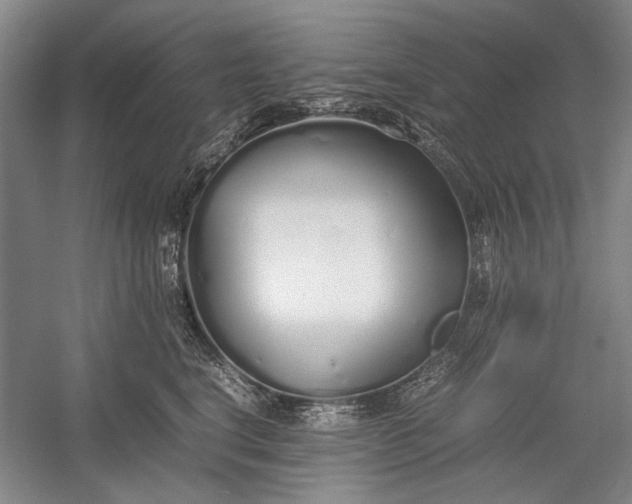 X0000055060664200508161647.png