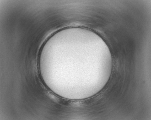 X0000054331278200508111909.png