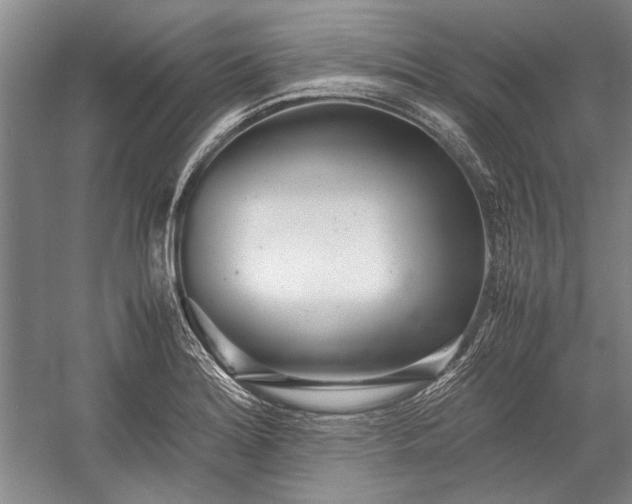 X0000055061180200508161638.png