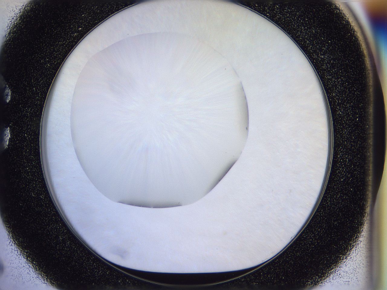 056d_C5_ImagerDefaults_0.jpg