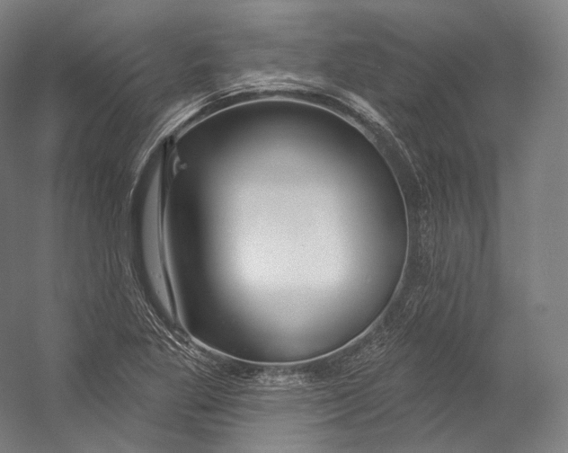 X0000055211269200508301312.png