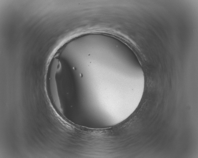 X0000055211512200508301308.png