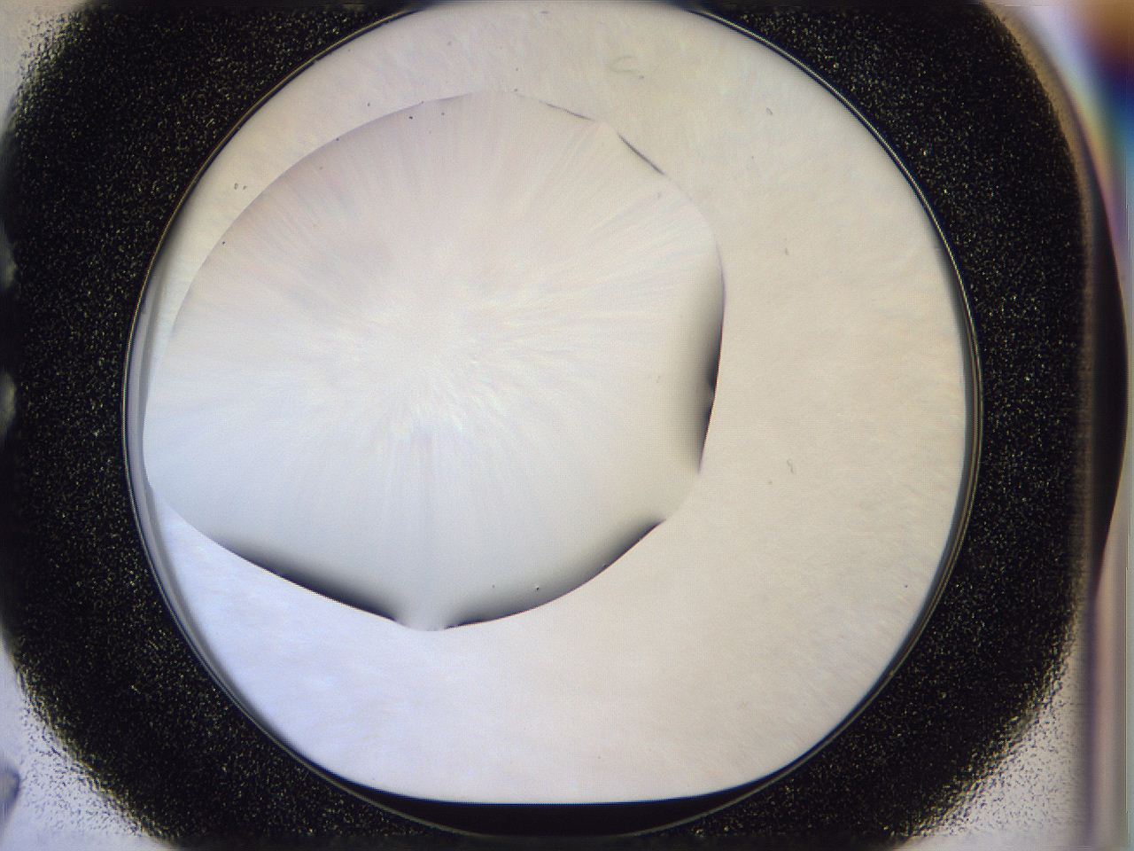 056d_C7_ImagerDefaults_0.jpg